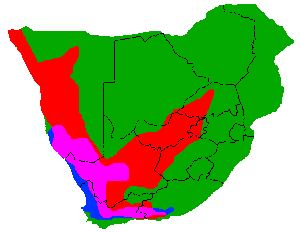 Red — lithops, blue — conophytums Map of South Africa that shows distributon of both lithops and conphytums